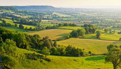 Hedgerow Gathering Walks in beautiful Cotswolds